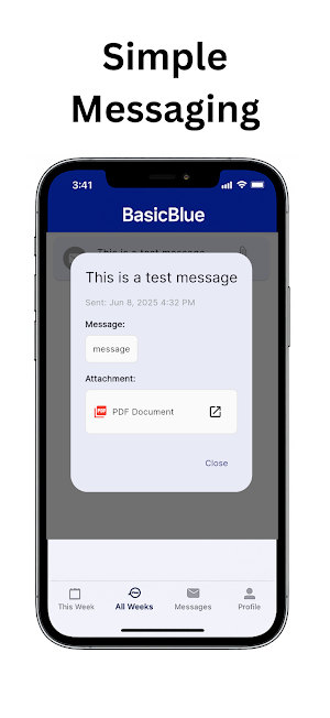 BasicBlue Screenshot 3