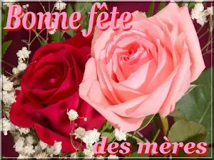 Bonne Fête des Mères Screenshot 2