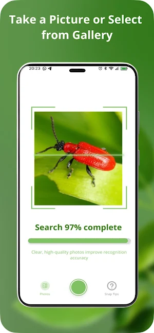 Identify This Bug Screenshot 2