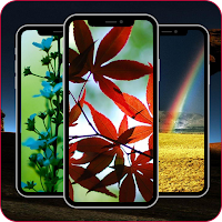 Wallpaper For OnePlus Nord N20