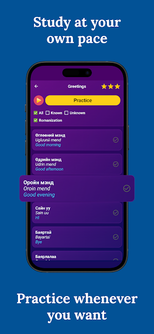 Learn Mongolian - Beginners Screenshot 2