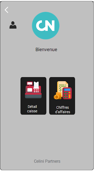Celini Partners Screenshot 1