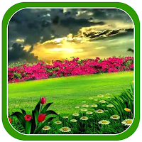 Nature Beautiful Frames HD