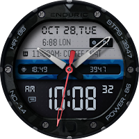 Enduric : Hybrid Watch Face