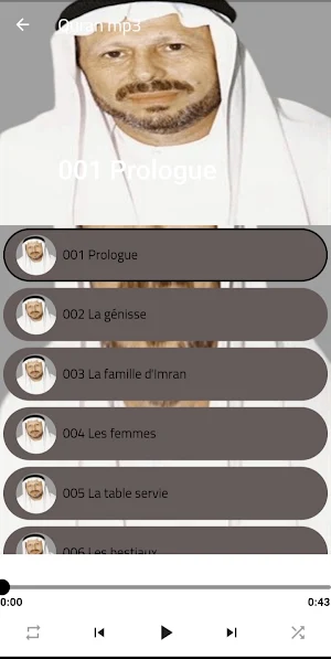Ahmad Al-trabulsi Quran mp3 Screenshot 0
