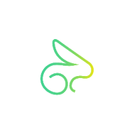 Rabbit Scooters