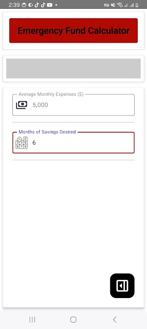 Emergency Fund Calculator Screenshot 2
