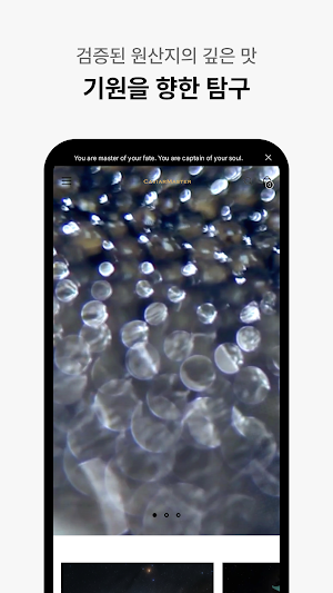 Caviar Master Screenshot 2