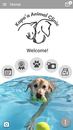Kapaa Animal Clinic Screenshot 0