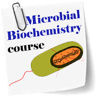 Microbial Biochemistry course