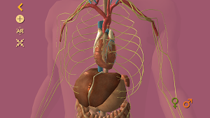 Arloon Anatomy AR Screenshot 1