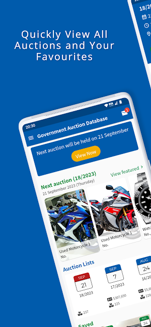 Government Auction Database Screenshot 1