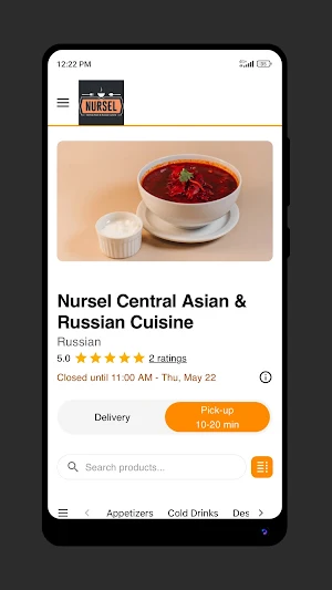 Nursel Asian/Russian Cuisine Screenshot 1