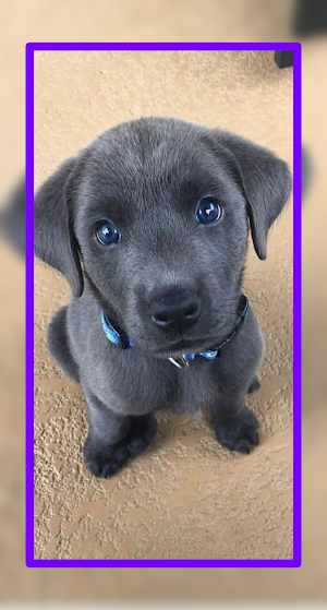Baby Dogs Wallpaper HD Screenshot 3