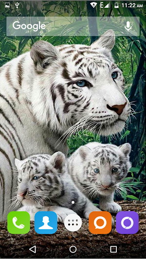 Tiger Hd Wallpapers Screenshot 1