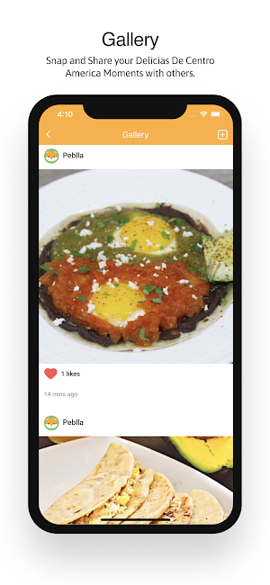Delicias De Centro America Screenshot 3