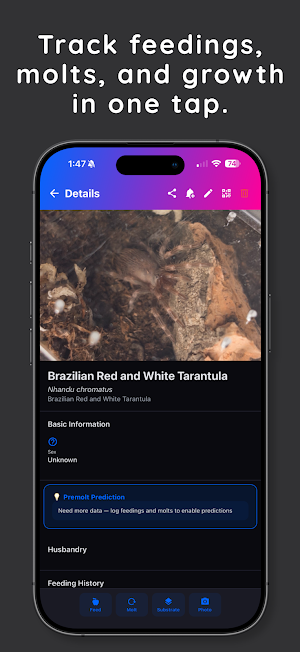 Tarantuverse Screenshot 2