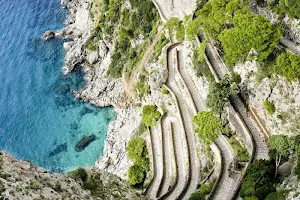 Curved wallpapers Screenshot 1