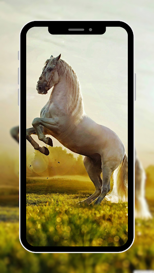 Horse Wallpapers Screenshot 2