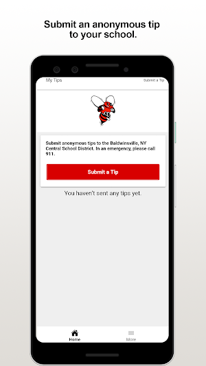 Baldwinsville CSD Tip Screenshot 0