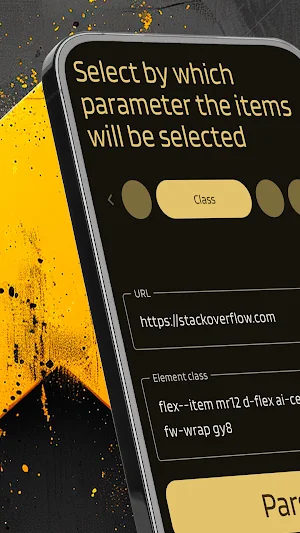 FlashPage parser Screenshot 0