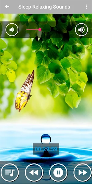 Deep Sleep Relaxing Music Screenshot 0