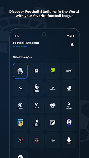 Football Stadium: in the World Screenshot 1