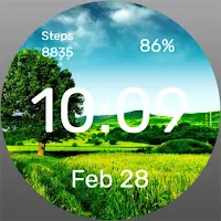 Tree in the Field - Watch Face
