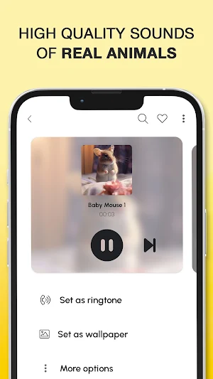 Animal Sounds and Ringtones Screenshot 3