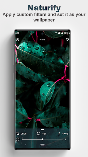 Naturify - 4K & HD Nature Wallpapers Screenshot 3