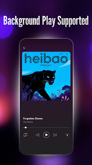 Offline Player: Local Music Screenshot 2