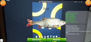 Vertebpedia Screenshot 1