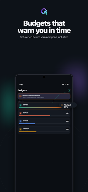 Outflow: Private Budget App Screenshot 1