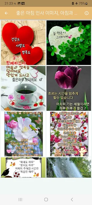 좋은 아침 인사 이미지, 아침과 오후 인사 Screenshot 3