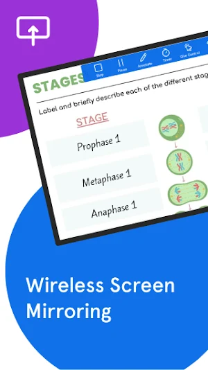 Vivi Display Screenshot 0