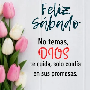 Frases Cristianas para Todo Screenshot 2