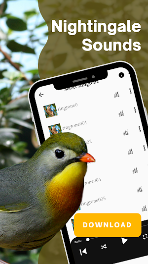 Nightingale sounds screenshot 1