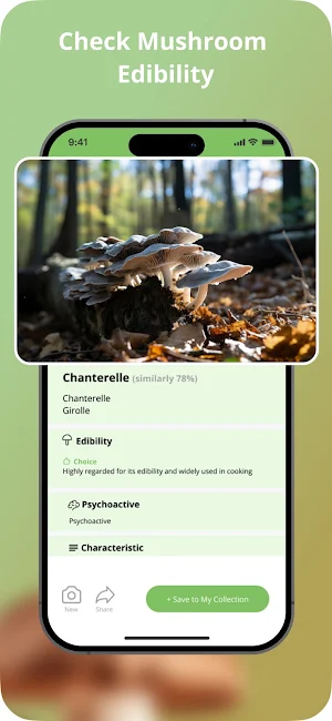 Picture Mushroom Screenshot 3
