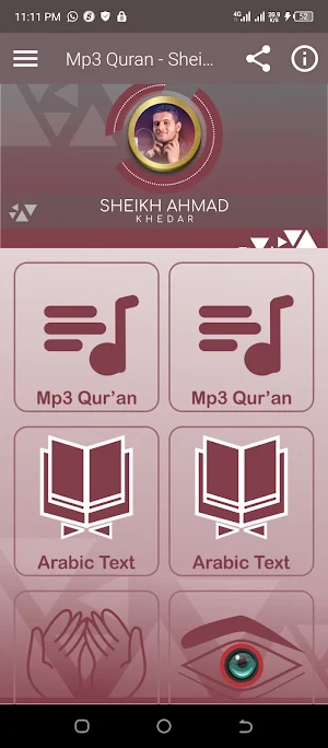 Ahmed Khedr Offline Mp3 Quran Screenshot 0