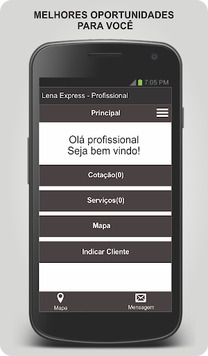 Lena Express - Profissional Screenshot 3