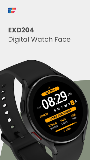 EXD204: Personal Watch Face Screenshot 0