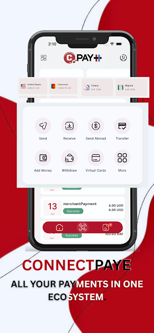 ConnectPaye Screenshot 0