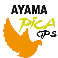 Ayama Pica Gps