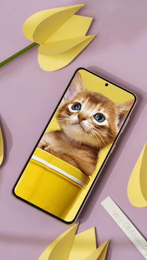 Cute Cat Wallpapers 2024 Screenshot 3