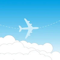 Aviation Festival