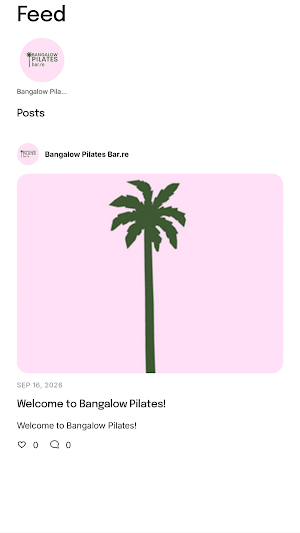 Bangalow Pilates Bar.re Screenshot 3