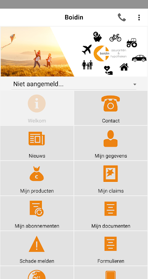 Boidin Screenshot 0