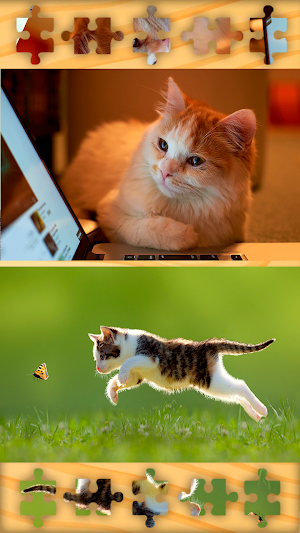 Cats Kittens Puzzles Jigsaws Screenshot 3