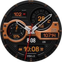 Hybrid TARADO WS104 Watch face