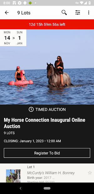 My Horse Connection Screenshot 1